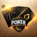 안전한 여왕벌카지노 이용 가이드: 신뢰와 안전을 최우선으로